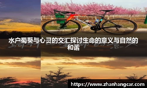 水户蜀葵与心灵的交汇探讨生命的意义与自然的和谐